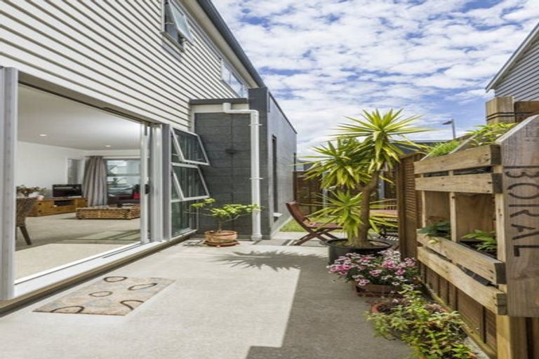 Photo of property in 41 Liquidambar Drive, Hobsonville, Auckland, 0616