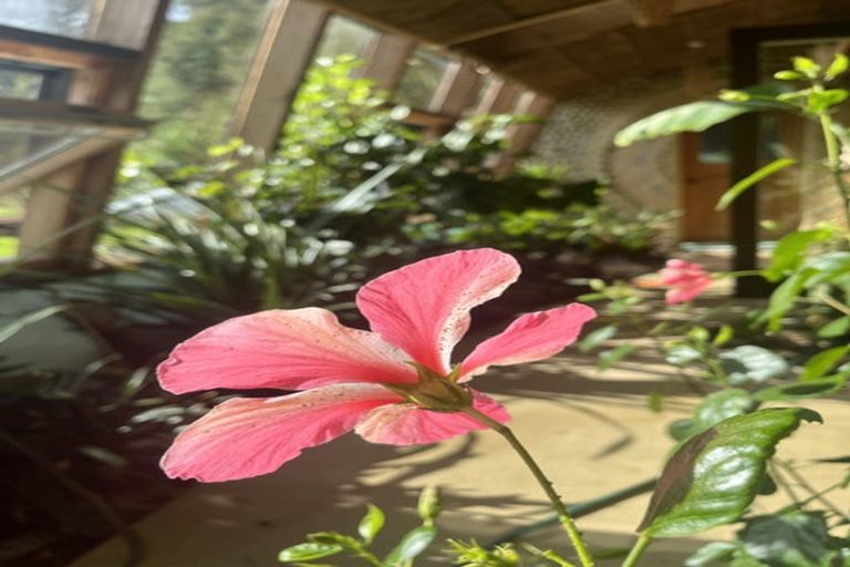 Photo of property in 189 Puketui Valley Road, Hikuai, 3579