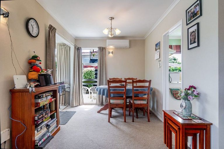 Photo of property in 19 Te Punga Place, Awapuni, Palmerston North, 4412