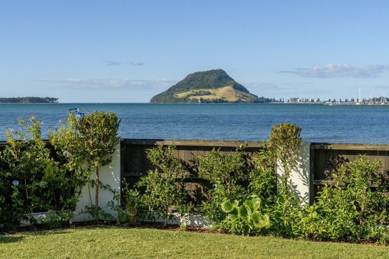 Photo of property in 1/2 Kulim Avenue, Otumoetai, Tauranga, 3110