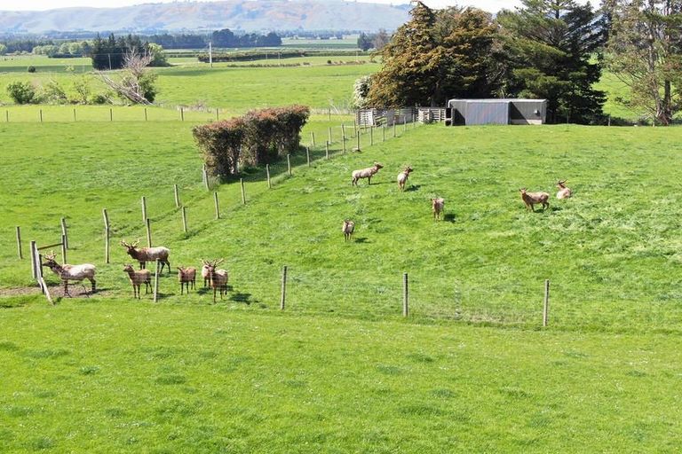 Photo of property in 68 Currie Road, Woodside, Outram, 9073