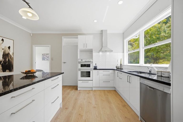 Photo of property in 67 Haigh Access Road, Redvale, Albany, 0794
