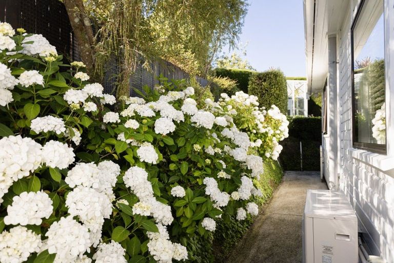 Photo of property in 4 District Road, Roseneath, Port Chalmers, 9023