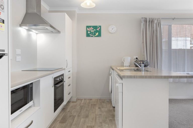 Photo of property in 188u7 Ulster Street, Whitiora, Hamilton, 3200