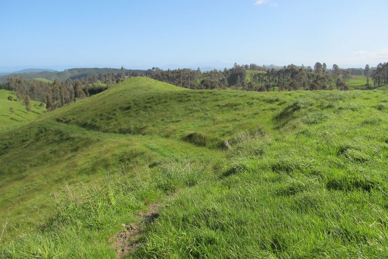 Photo of property in 315 Otake Road, Marotiri, Taupo, 3377