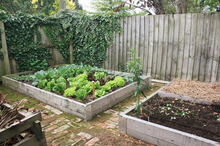 Photo of property in 31 Prossers Road, Saint Martins, Christchurch, 8022