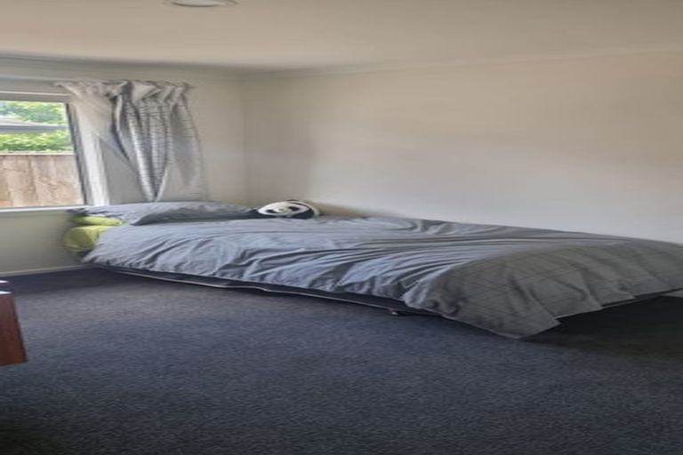 Photo of property in 5 Mellifera Place, Richmond, 7020