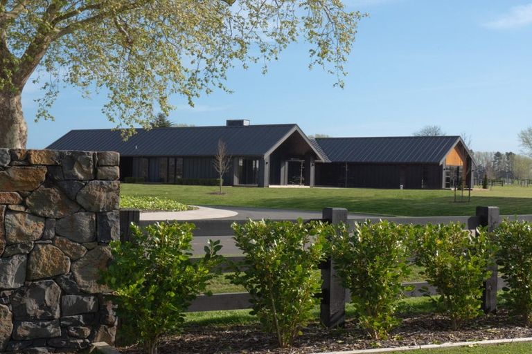 Photo of property in 7 Orchard Place, Matamata, 3472
