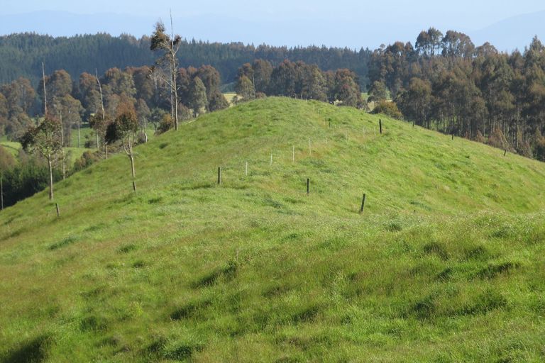 Photo of property in 315 Otake Road, Marotiri, Taupo, 3377