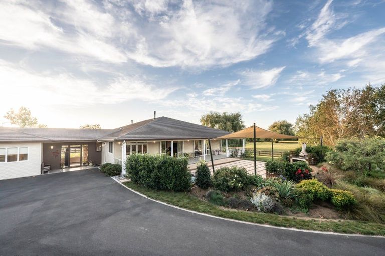 Photo of property in 81 Racecourse Road, Cambridge, 3493