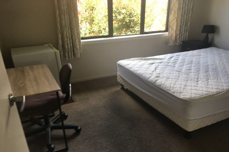 Photo of property in 27u1 Hogan Street, Hamilton East, Hamilton, 3216