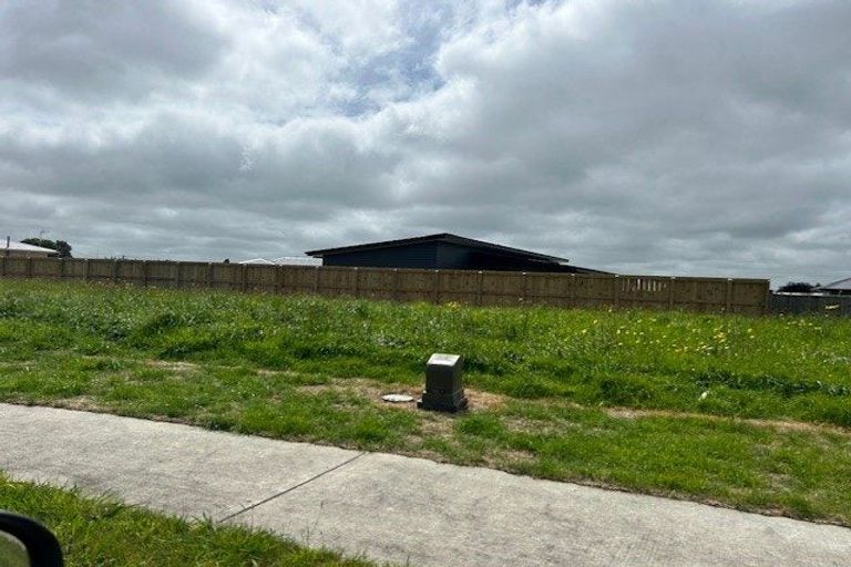 Photo of property in 4 Thorn Place, Levin, 5510