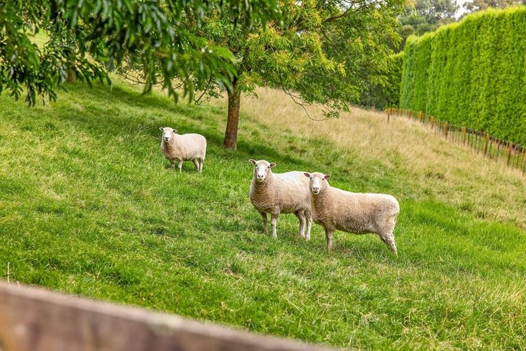 Photo of property in 26d Wainui Road South, Whakamarama, 3181