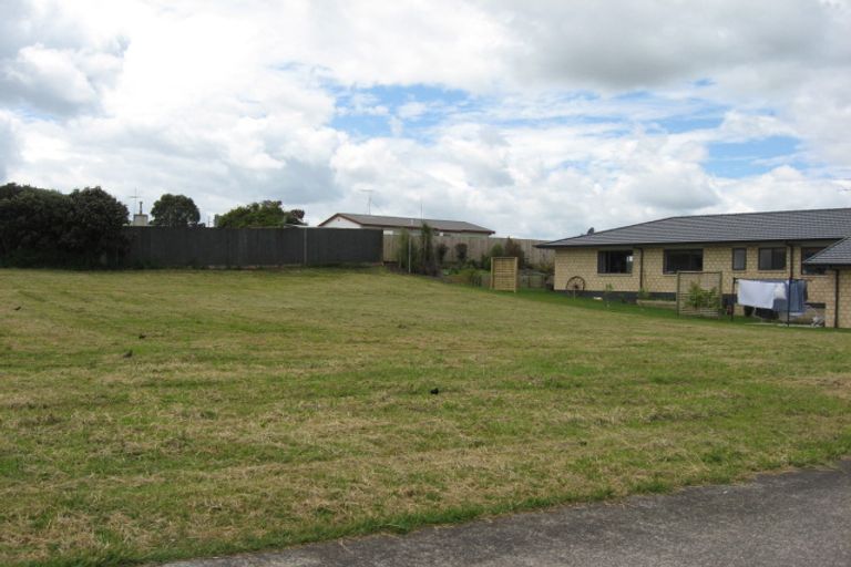 Photo of property in 8 Lieshout Way, Pukekohe, 2120