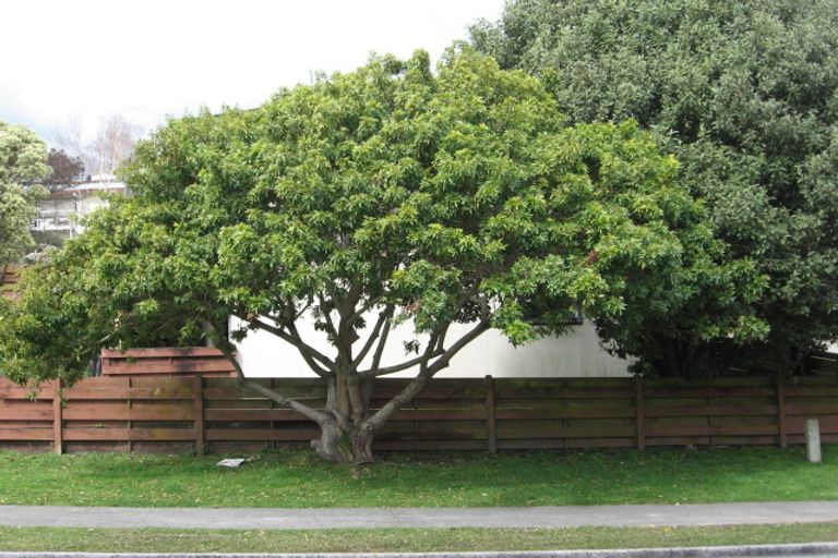 Photo of property in 41b Meander Drive, Welcome Bay, Tauranga, 3112