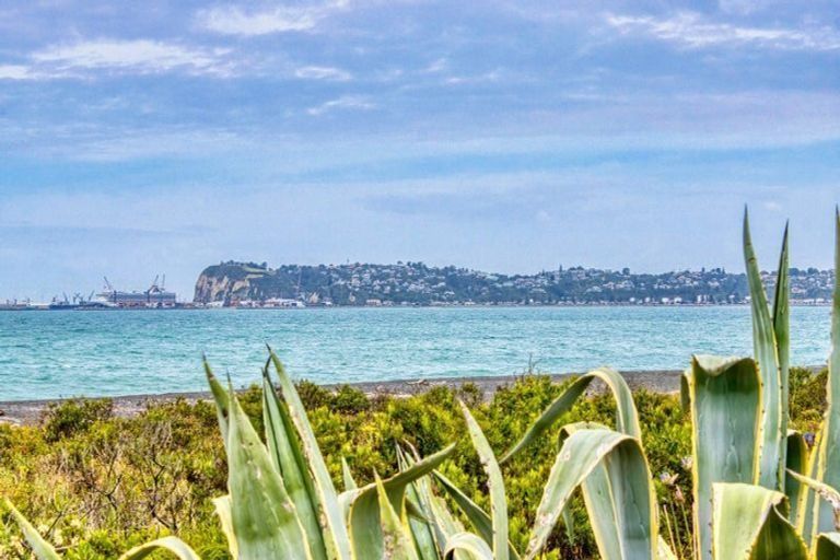 Photo of property in 1/382 Main Road North, Bay View, Napier, 4104