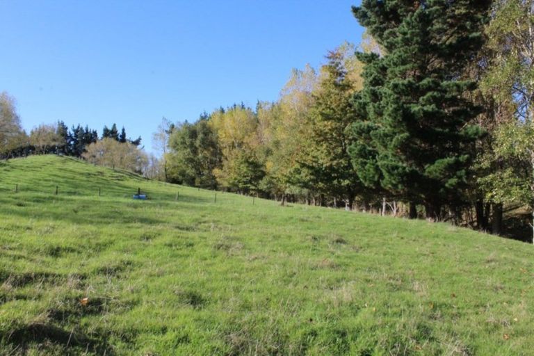 Photo of property in 175 Umutaoroa Road, Dannevirke, 4978