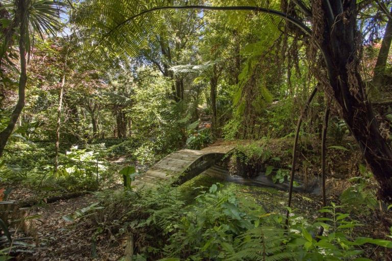 Photo of property in 79 Bulltown Road, Waihi, 3610