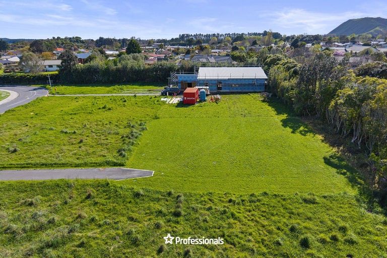 Photo of property in 13 Te Awahohonu Lane, Otaki, 5512