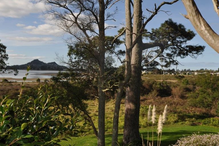 Photo of property in 100 Tangiteroria Lane, Pauanui, Hikuai, 3579
