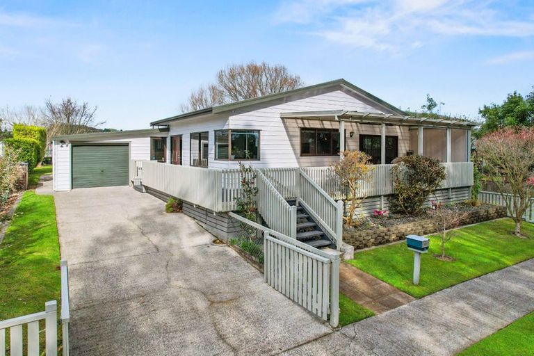 Photo of property in 117 Lowe Avenue, Thames, 3500