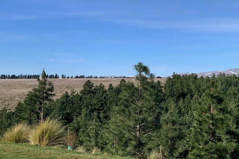 Photo of property in 259 Heaney Road, Cromwell, 9384