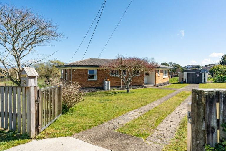 Photo of property in 550 Puniu Road, Te Awamutu, 3800