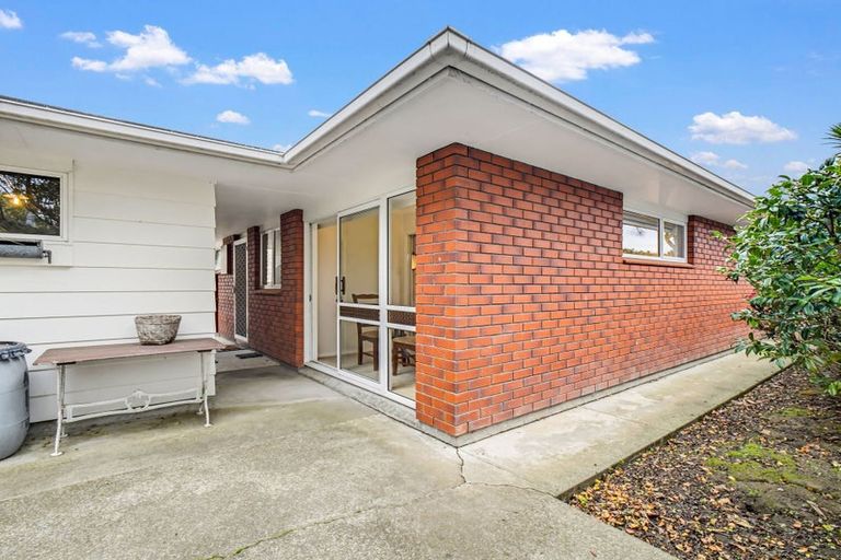 Photo of property in 45 Dittmer Drive, Awapuni, Palmerston North, 4412