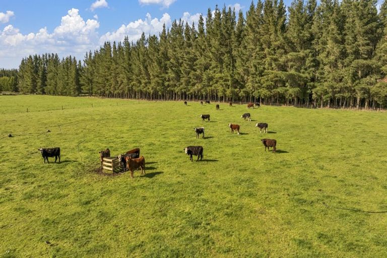 Photo of property in 185 Worlingham Road, Eyrewell, Rangiora, 7476