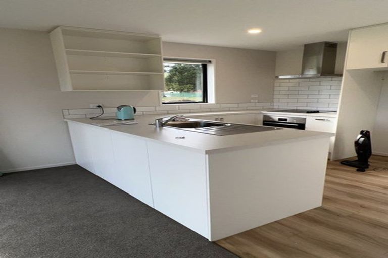 Photo of property in 238 Whitecliffs Road, Whitecliffs, 7673