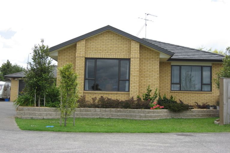 Photo of property in 19 Lieshout Way, Pukekohe, 2120
