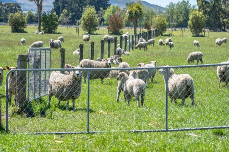 Photo of property in 49 Ashworths Road, Amberley, 7481