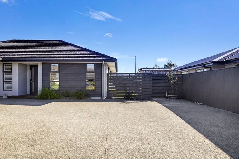 Photo of property in 32 Kahikatea Way, Appleby, Richmond, 7020
