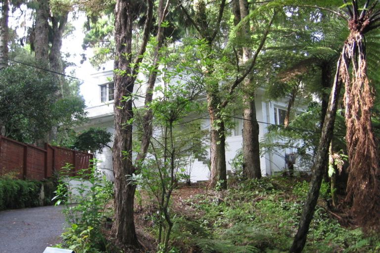 Photo of property in 12 Manuka Road, Titirangi, Auckland, 0604