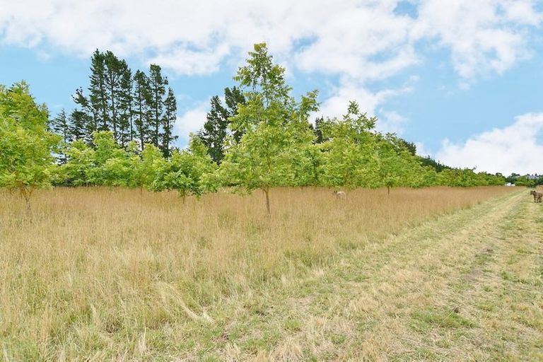 Photo of property in 249 Stanton Road, Amberley, 7482