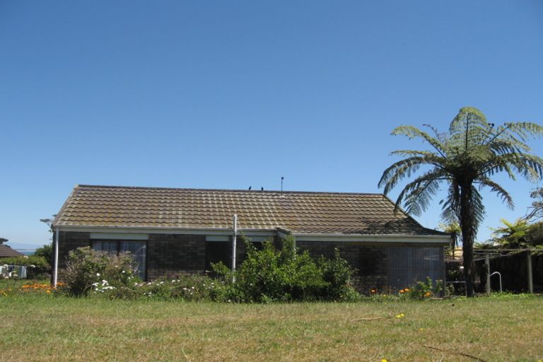 Photo of property in 29 Ngaparaoa Drive, Maketu, 3189
