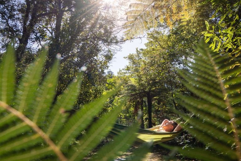 Photo of property in 251 Old Coach Road, Kaimarama, Whitianga, 3591