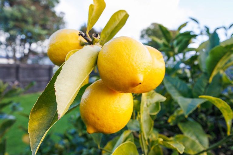 Photo of property in 194 Ferguson Street, West End, Palmerston North, 4412
