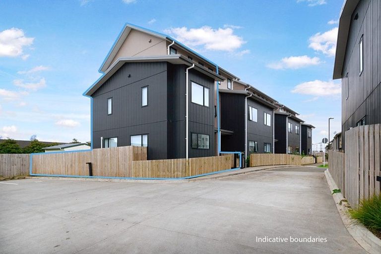 Photo of property in 41 Eileen Newey Place, Henderson, Auckland, 0612