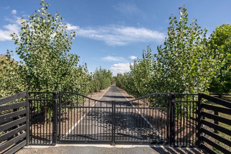 Photo of property in 81 Racecourse Road, Cambridge, 3493