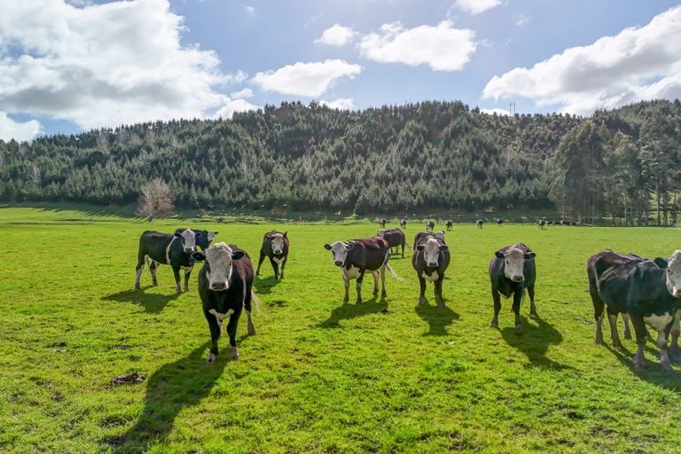 Photo of property in 1584 Brunswick Road, Kai Iwi, Whanganui, 4578