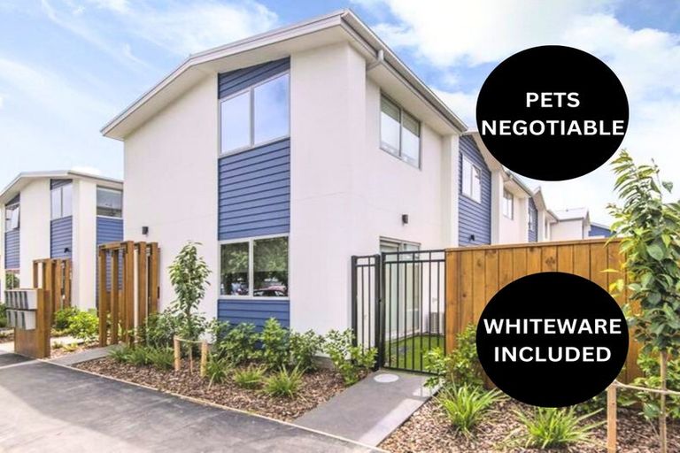 Photo of property in 8/257 Armagh Street, Christchurch Central, Christchurch, 8011