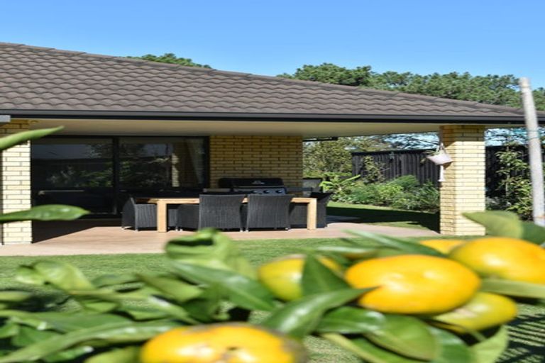 Photo of property in 1 Teal Place, Pyes Pa, Tauranga, 3112