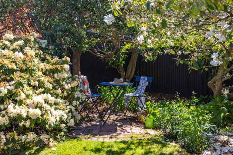 Photo of property in 43 Mcdougall Avenue, St Albans, Christchurch, 8014