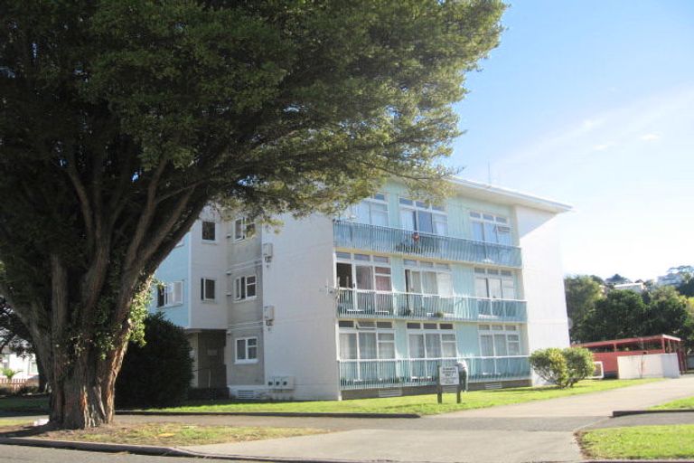 Photo of property in 24 Carnell Street, Napier South, Napier, 4110