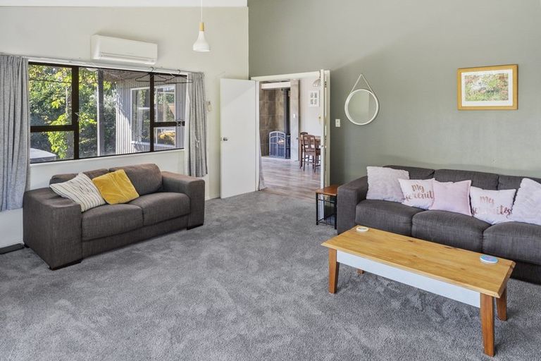 Photo of property in 58 Leefield Street, Blenheim, 7201