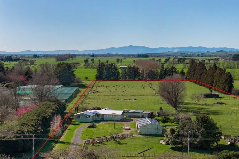 Photo of property in 386 Marshmeadow Road, Newstead, Hamilton, 3286