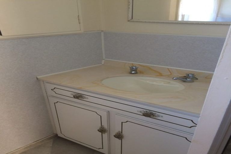 Photo of property in 45 Graham Street, Levin, 5510