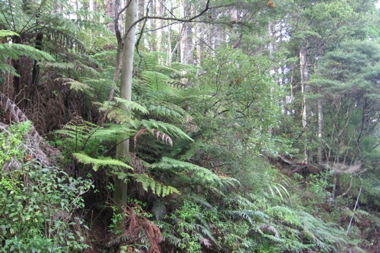 Photo of property in 14 Manuka Road, Titirangi, Auckland, 0604