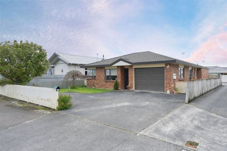 Photo of property in 40 Durham Street, Levin, 5510